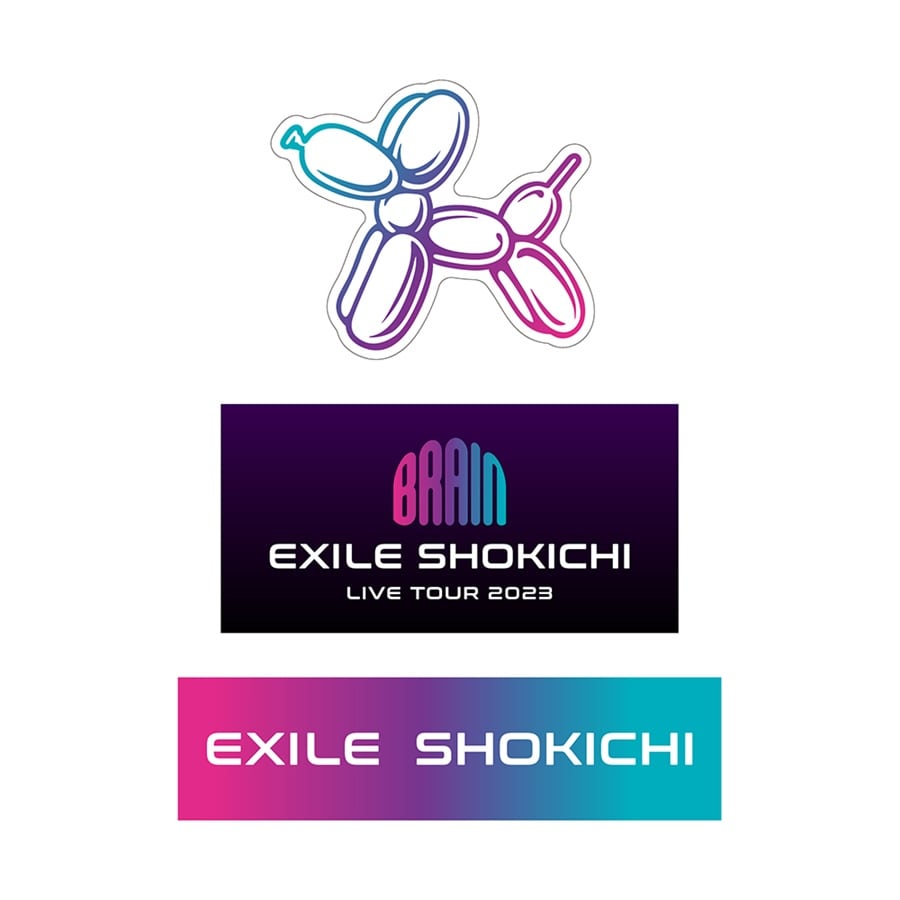 最安値挑戦 12/23(土)北海道公演・12/27(水)東京公演】『EXILE EXILE ...