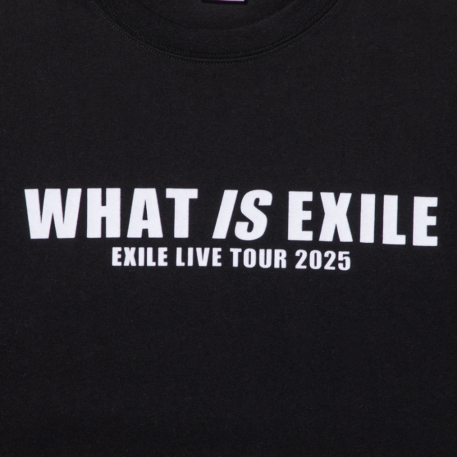 WHAT IS EXILE ツアーTシャツ/BLACK 詳細画像 カラー共通 2