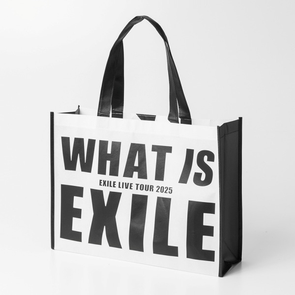 WHAT IS EXILE 不織布バッグ 詳細画像