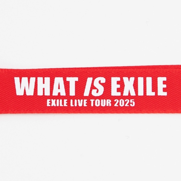 【ETS限定】WHAT IS EXILE キーホルダー 詳細画像