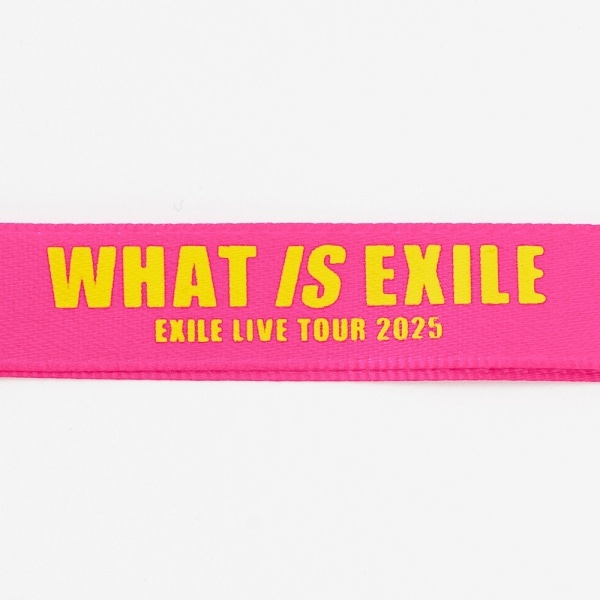 【福井限定】WHAT IS EXILE キーホルダー 詳細画像