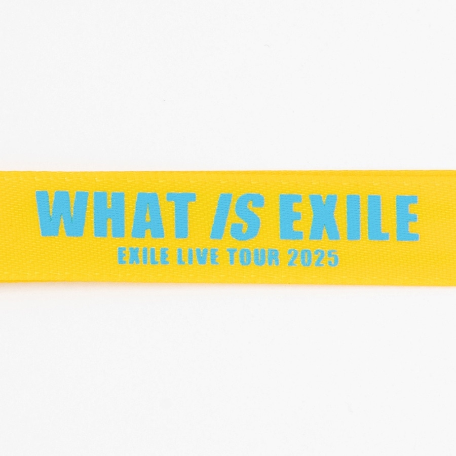 【千葉限定】WHAT IS EXILE キーホルダー 詳細画像 カラー共通 2