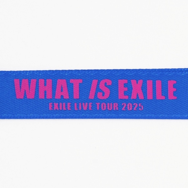 【6/1兵庫限定】WHAT IS EXILE キーホルダー 詳細画像