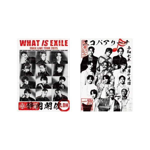 【4/19(土)静岡】WHAT IS EXILE 御楽印2枚セット 詳細画像