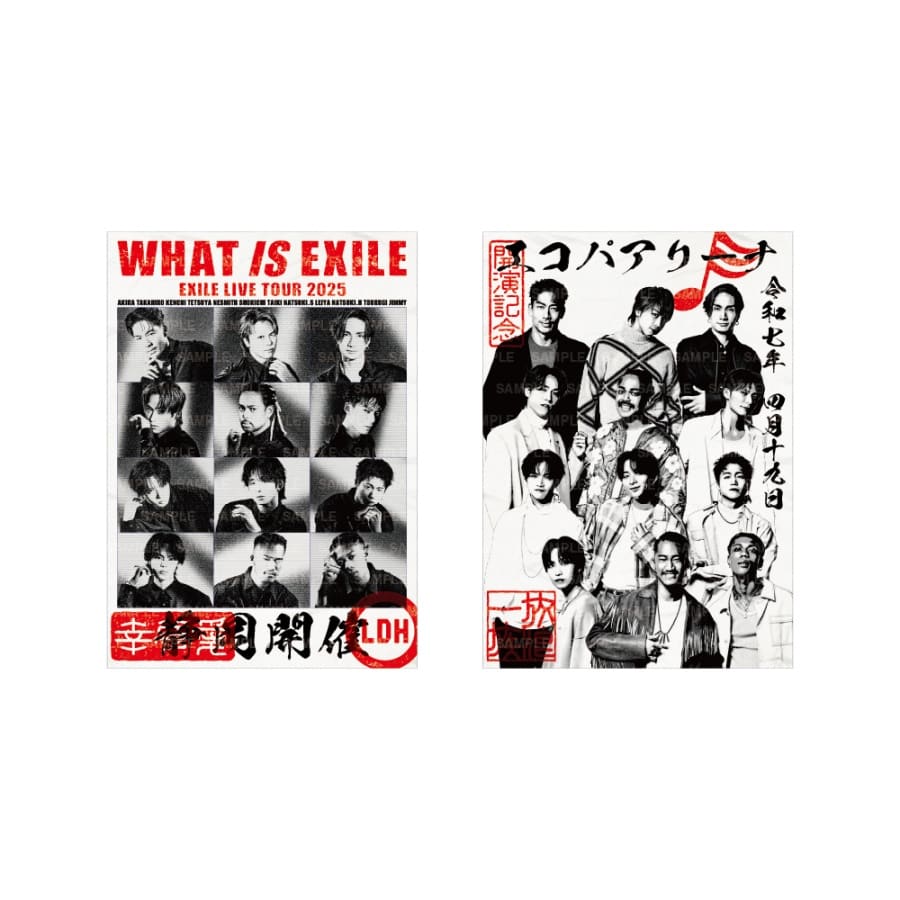 【4/19(土)静岡】WHAT IS EXILE 御楽印2枚セット 詳細画像 OTHER 1