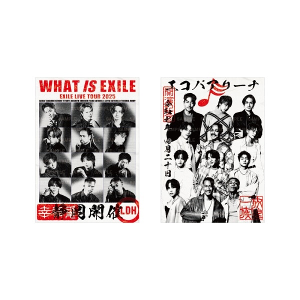 【4/20(日)静岡】WHAT IS EXILE 御楽印2枚セット 詳細画像