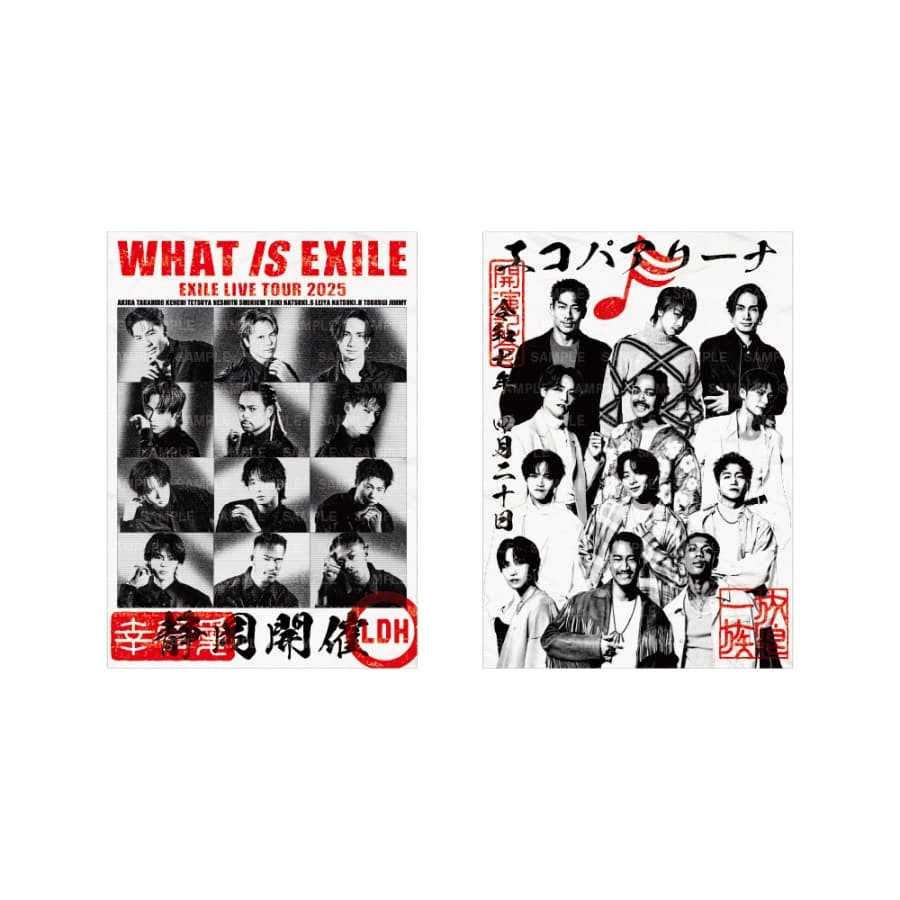 【4/20(日)静岡】WHAT IS EXILE 御楽印2枚セット 詳細画像 OTHER 1