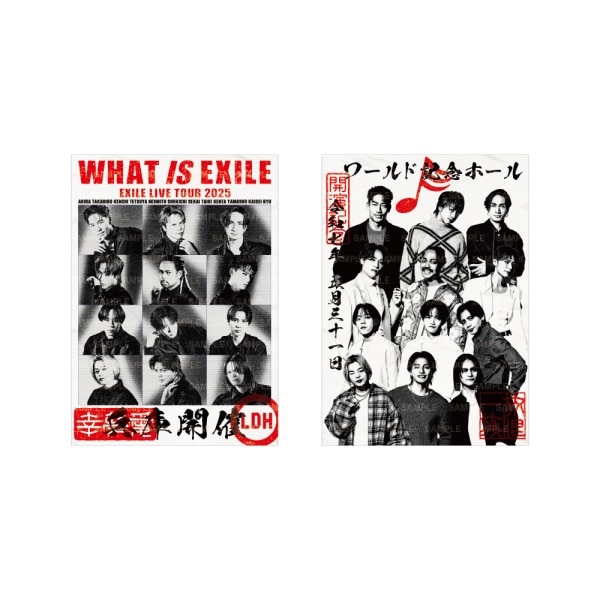 【5/31(土)兵庫】WHAT IS EXILE 御楽印2枚セット 詳細画像