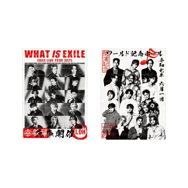 【6/1(日)兵庫】WHAT IS EXILE 御楽印2枚セット