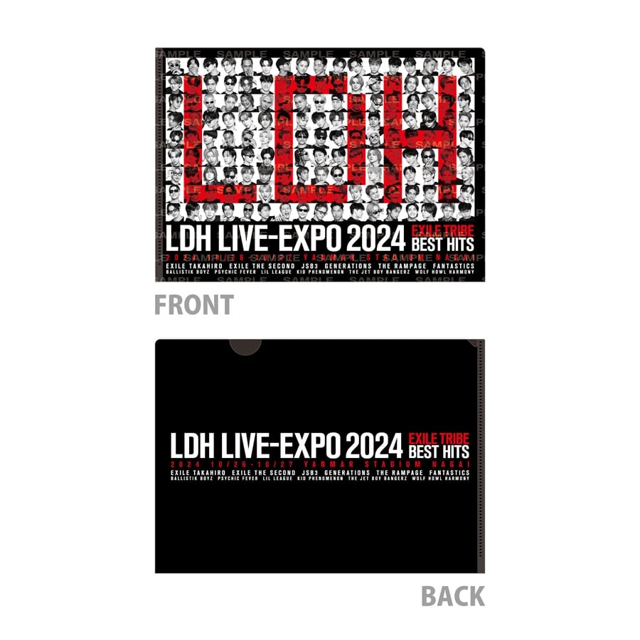 LDH LIVE-EXPO 2024 クリアファイル2枚セット 詳細画像 カラー共通 1