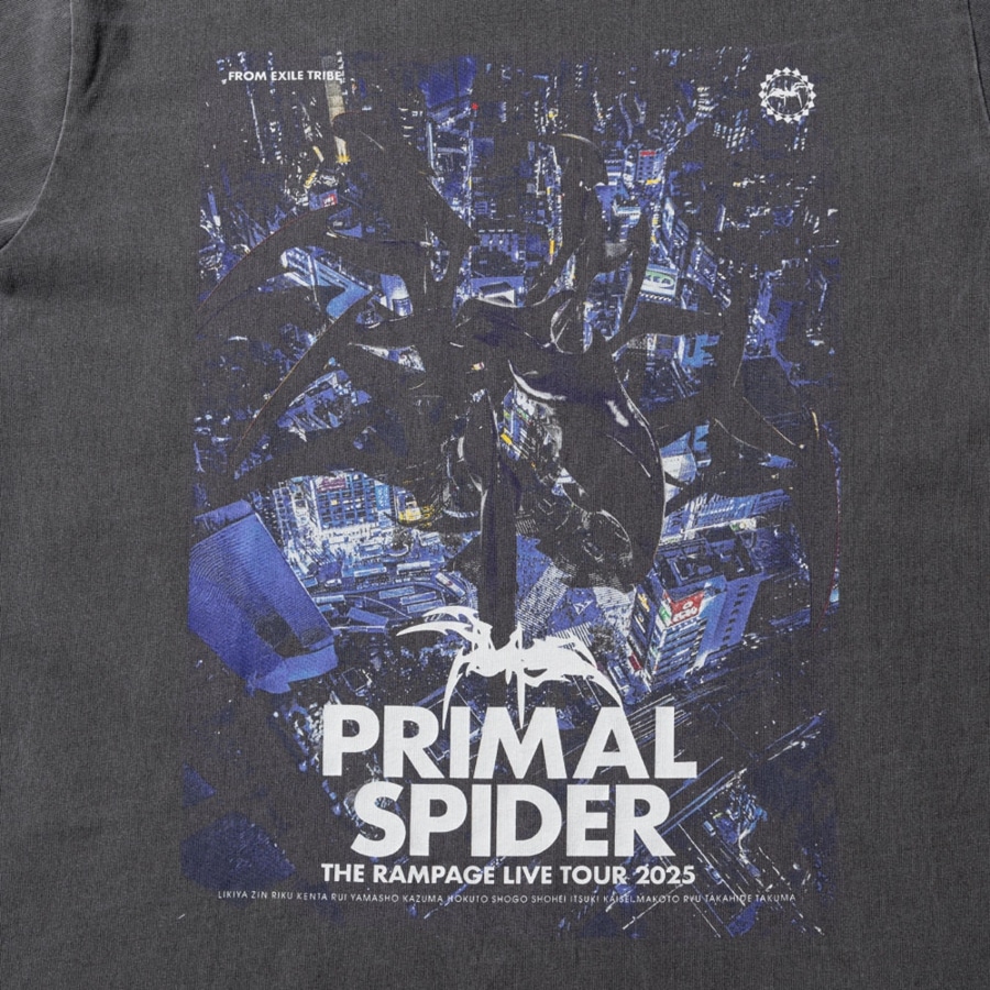 PRIMAL SPIDER ロングスリーブTシャツ/CHARCOAL GRAY 詳細画像 カラー共通 2