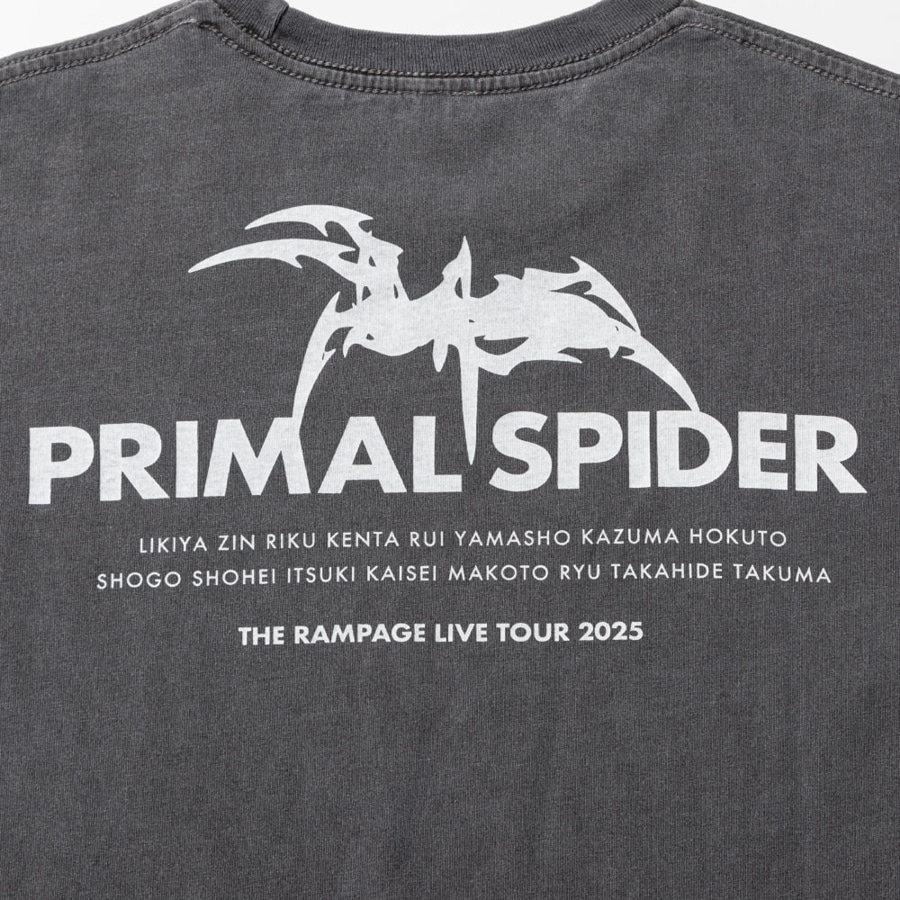 PRIMAL SPIDER ロングスリーブTシャツ/CHARCOAL GRAY 詳細画像 カラー共通 3