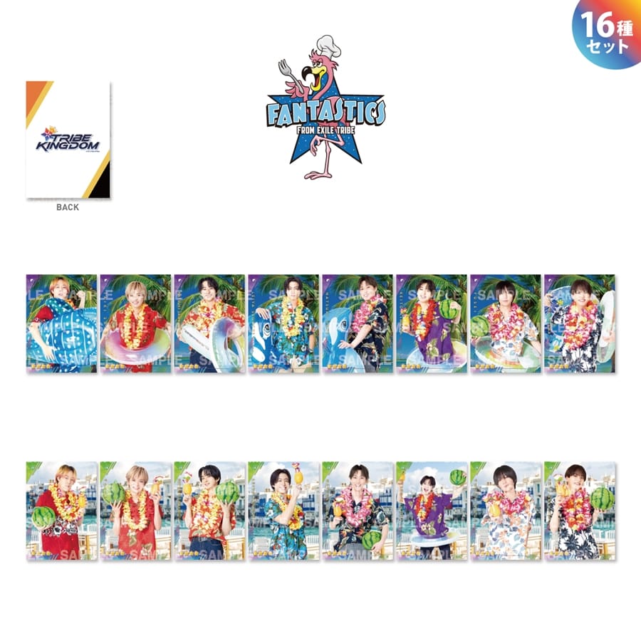 TRIBE KINGDOM  アロハver. ビジュアルカード/FANTASTICS/16種セット 詳細画像 FANTASTICS 1